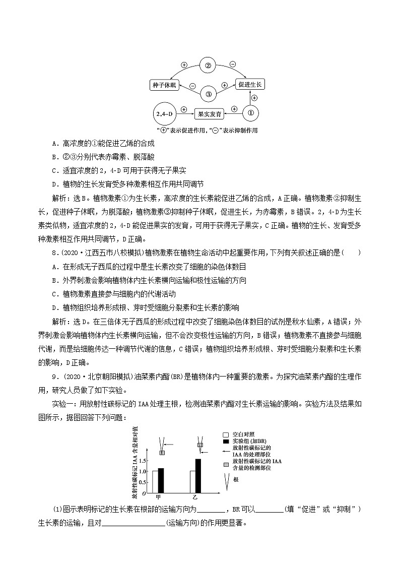高考生物一轮复习第27讲植物的激素调节达标练含答案第3页