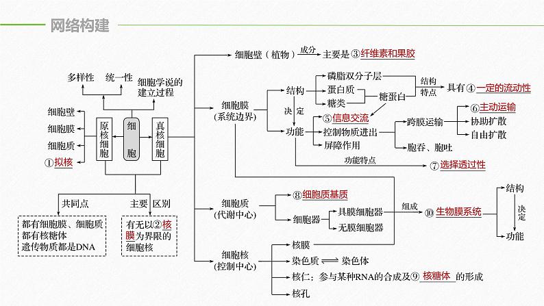 高考生物二轮复习专题1细胞的分子组成、基本结构和生命历程第2讲细胞的结构和物质运输课件05