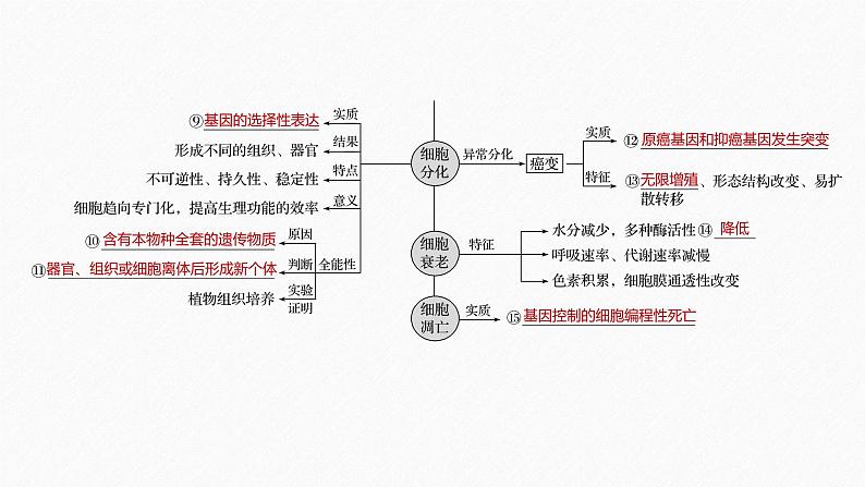 高考生物二轮复习专题1细胞的分子组成、基本结构和生命历程第3讲细胞的生命历程课件第6页