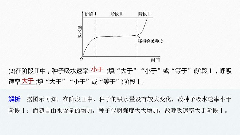 高考生物二轮复习专题1细胞的分子组成、基本结构和生命历程热点题型1种子形成与萌发时的物质和能量变化课件03