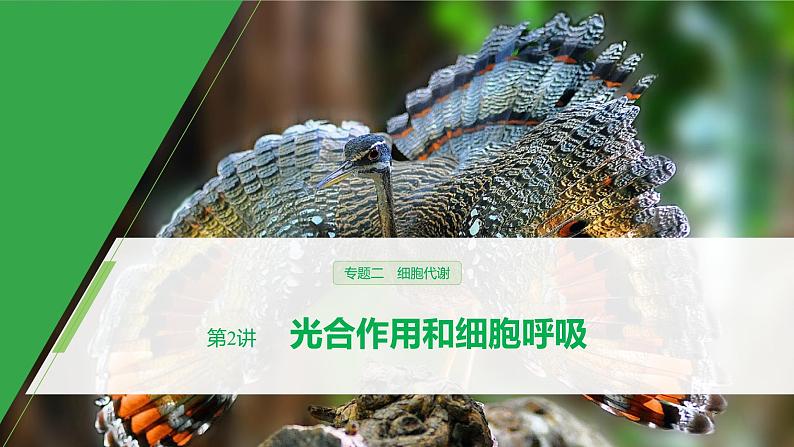 高考生物二轮复习专题2细胞代谢第2讲光合作用和细胞呼吸课件01