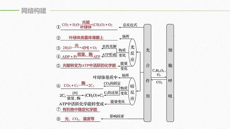 高考生物二轮复习专题2细胞代谢第2讲光合作用和细胞呼吸课件05