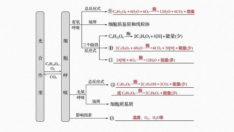 高考生物二轮复习专题2细胞代谢第2讲光合作用和细胞呼吸课件06