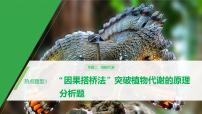 高考生物二轮复习专题2细胞代谢热点题型3“因果搭桥法”突破植物代谢的原理分析题课件