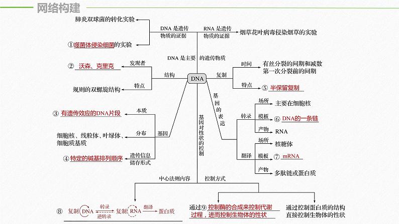 高考生物二轮复习专题3遗传、变异与进化第1讲遗传的分子基础课件05