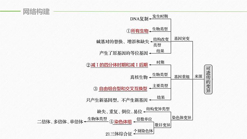 高考生物二轮复习专题3遗传、变异与进化第3讲变异、育种与进化课件第5页