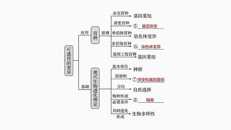 高考生物二轮复习专题3遗传、变异与进化第3讲变异、育种与进化课件第6页