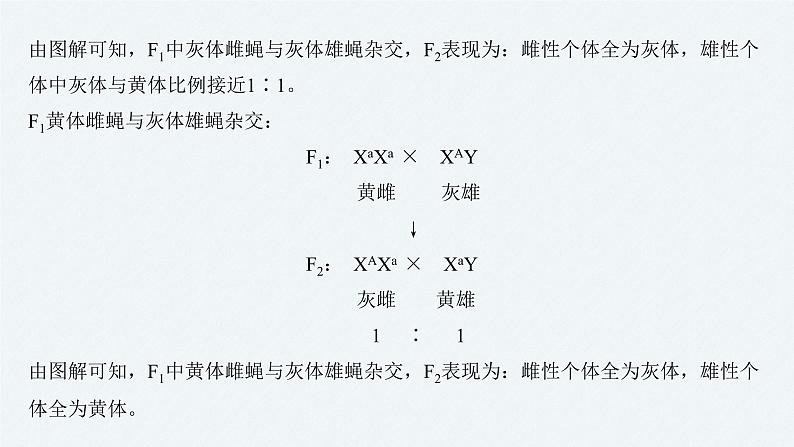 高考生物二轮复习专题3遗传、变异与进化热点题型6设计杂交实验判定基因的位置课件第6页