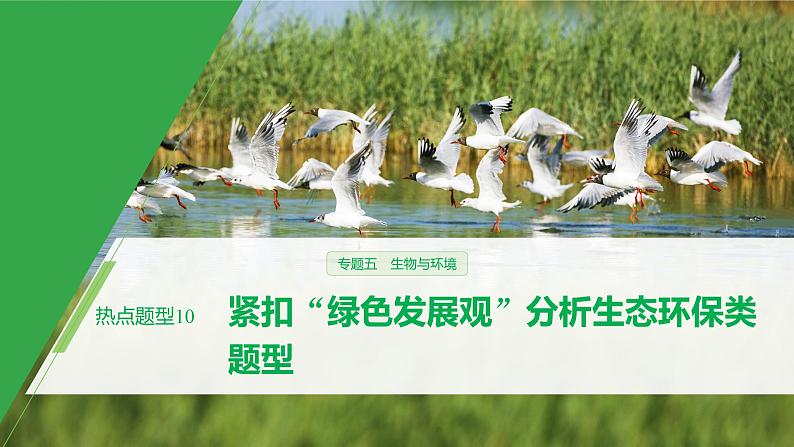 高考生物二轮复习专题5生物与环境热点题型10紧扣“绿色发展观”分析生态环保类题型课件第1页