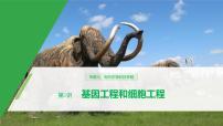 高考生物二轮复习专题7现代生物科技第1讲基因工程和细胞工程课件