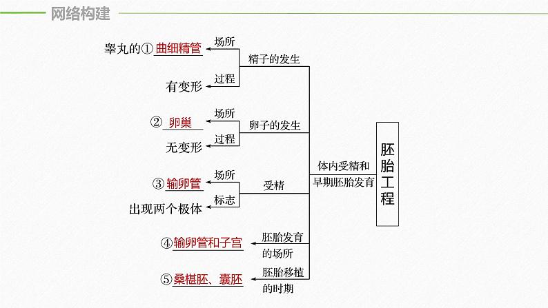 高考生物二轮复习专题7现代生物科技第2讲胚胎工程、生物技术的安全性和伦理问题及生态工程课件第5页