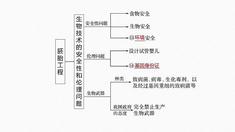 高考生物二轮复习专题7现代生物科技第2讲胚胎工程、生物技术的安全性和伦理问题及生态工程课件第8页