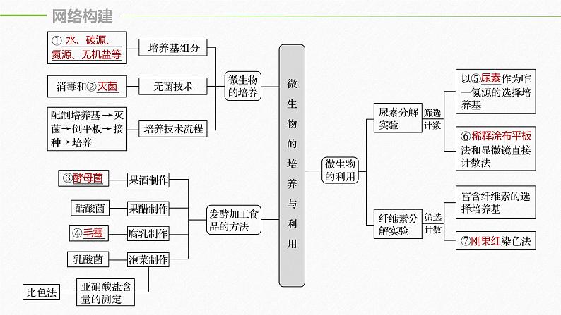 高考生物二轮复习专题8生物技术实践第1讲微生物的培养与利用课件第5页