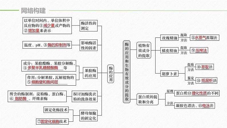 高考生物二轮复习专题8生物技术实践第2讲酶的应用与生物有效成分的提取课件第5页