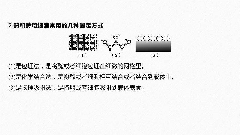 高考生物二轮复习专题8生物技术实践第2讲酶的应用与生物有效成分的提取课件第7页