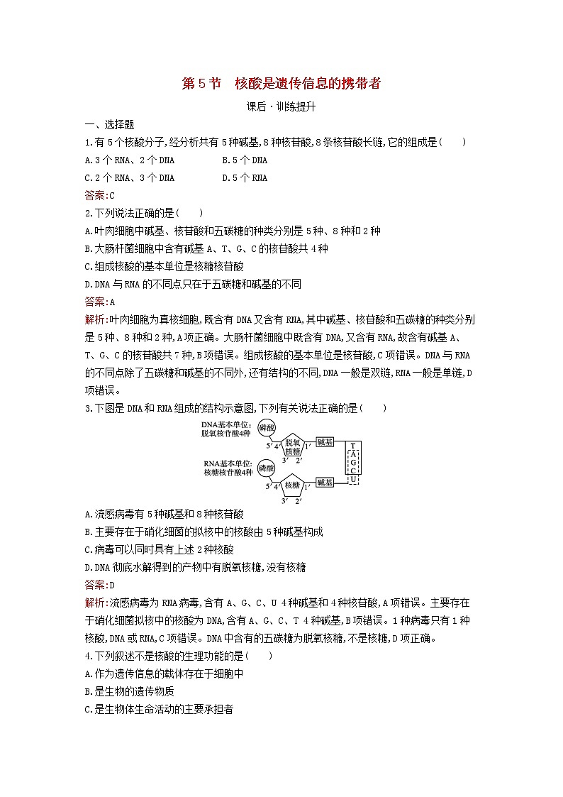 新教材高中生物第2章组成细胞的分子第5节核酸是遗传信息的携带者课后习题新人教版必修101