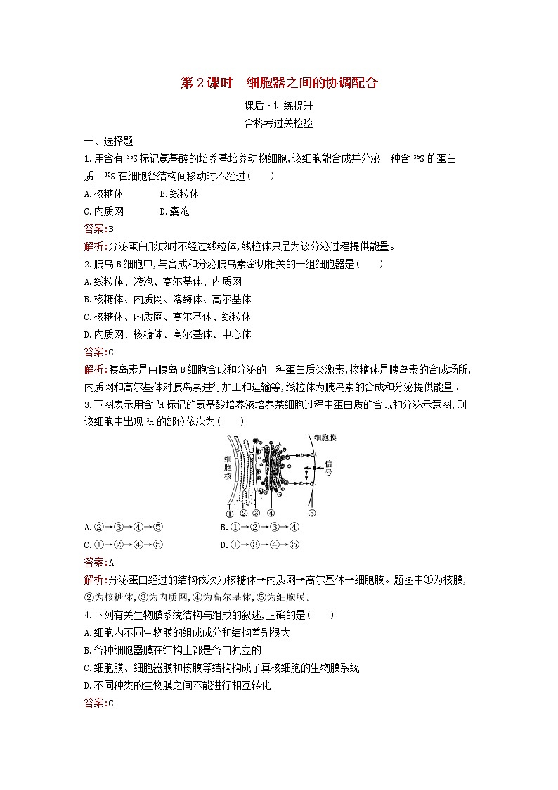 新教材高中生物第3章细胞的基本结构第2节细胞器之间的分工合作第2课时细胞器之间的协调配合课后习题新人教版必修101