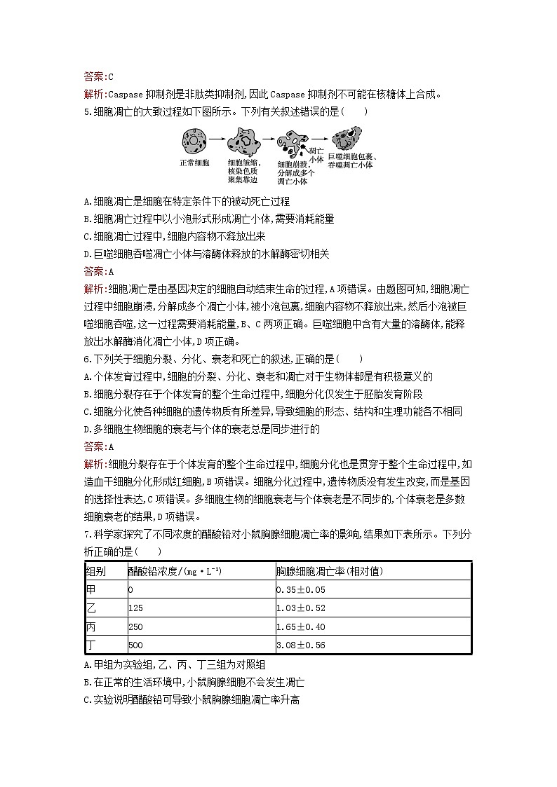 新教材高中生物第6章细胞的生命历程第3节细胞的衰老和死亡课后习题新人教版必修1第2页