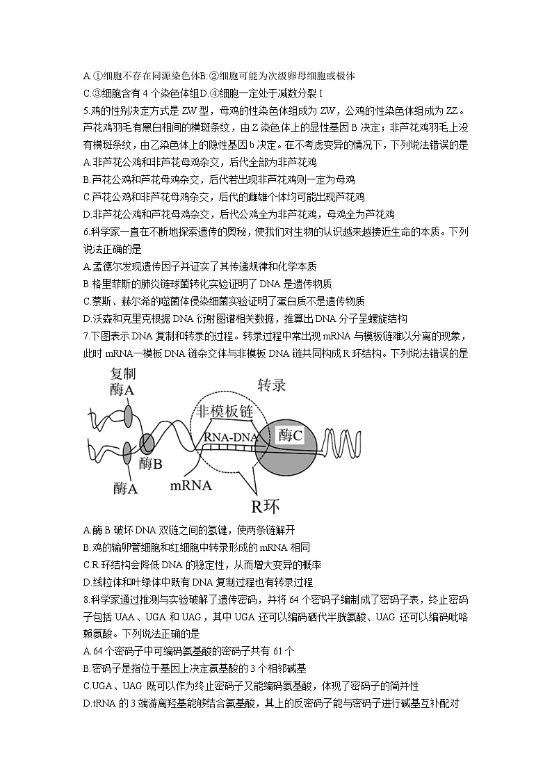2021-2022学年山东省聊城市高一下学期期末教学质量抽测生物试卷含答案第2页