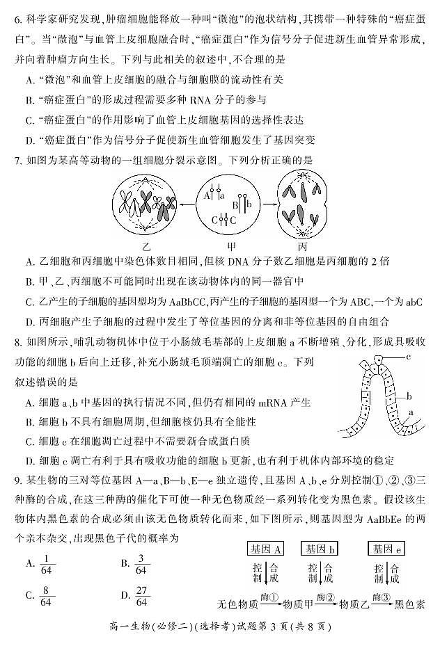 2021-2022学年湖南省郴州市高一下学期期末考试生物试卷PDF版含答案03
