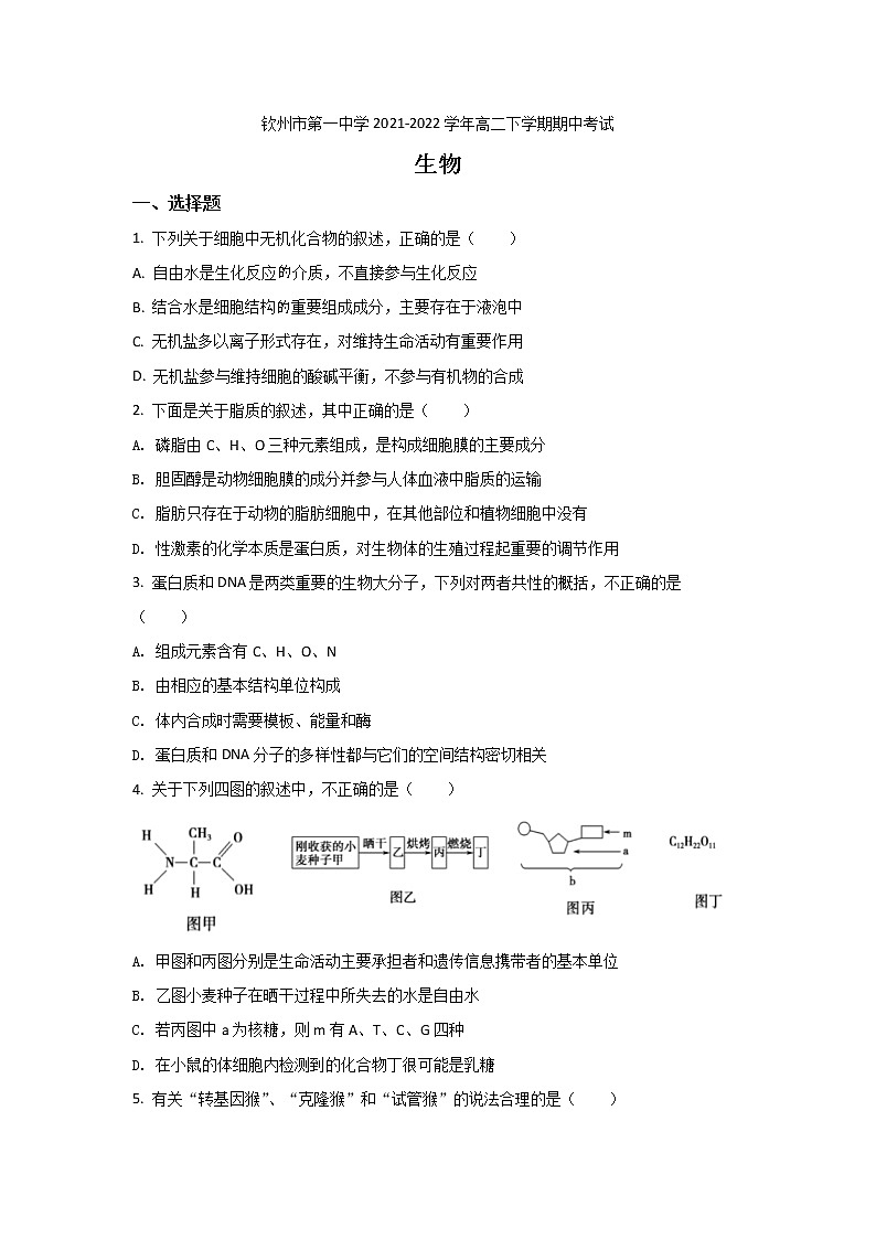 2021-2022学年广西钦州市第一中学高二下学期期中考试生物试题Word版含答案第1页