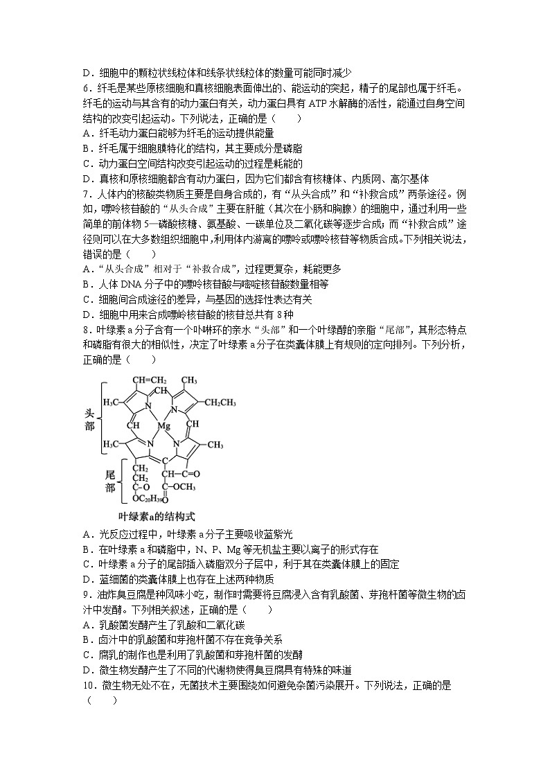 2021-2022学年山东省枣庄市高二下学期期末考试生物试题Word版含答案02