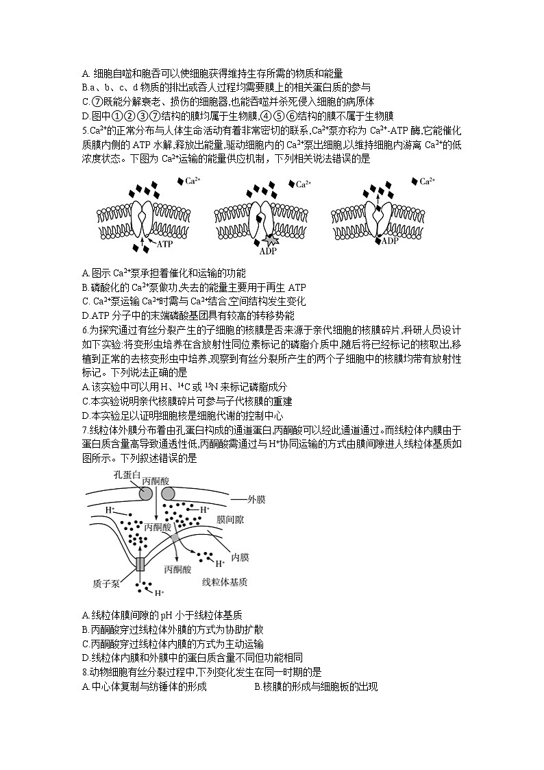 2021-2022学年安徽省皖豫名校高二下学期阶段性测试（期末）生物试题Word版含答案02