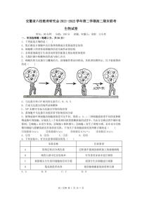 2023届安徽省六校教育研究会高三上学期第一次联考生物PDF版含答案