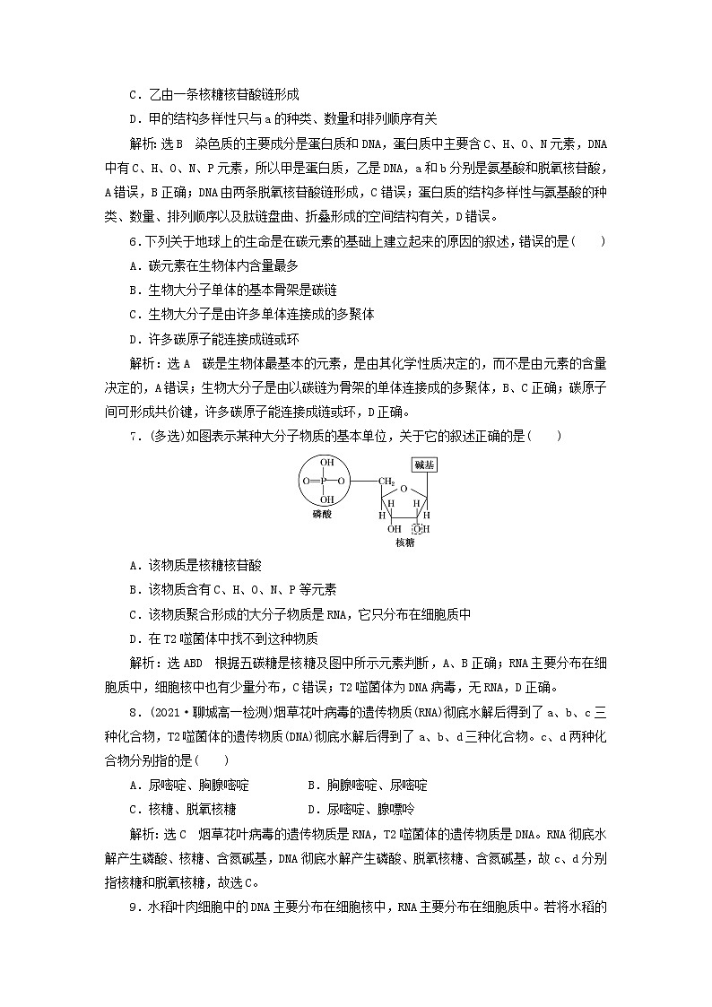 2022新教材高中生物课时跟踪检测八核酸是遗传信息的携带者新人教版必修102