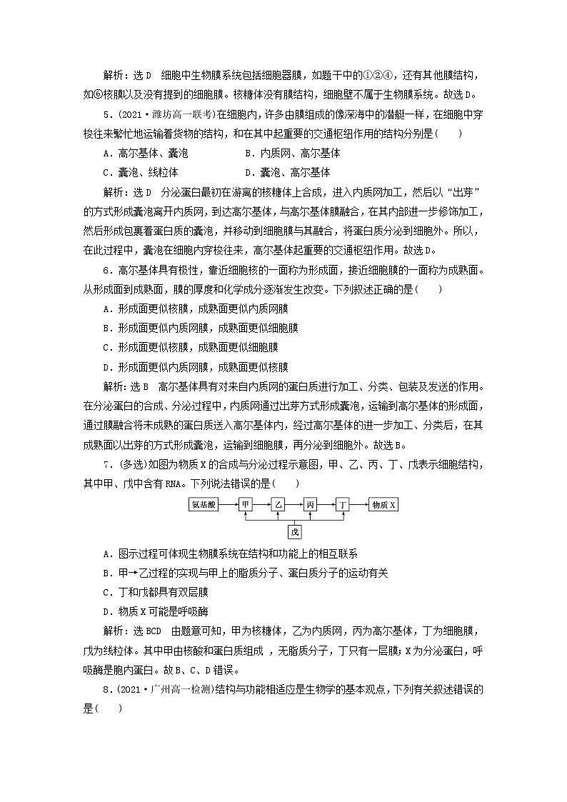 2022新教材高中生物课时跟踪检测十一细胞器之间的协调配合新人教版必修102