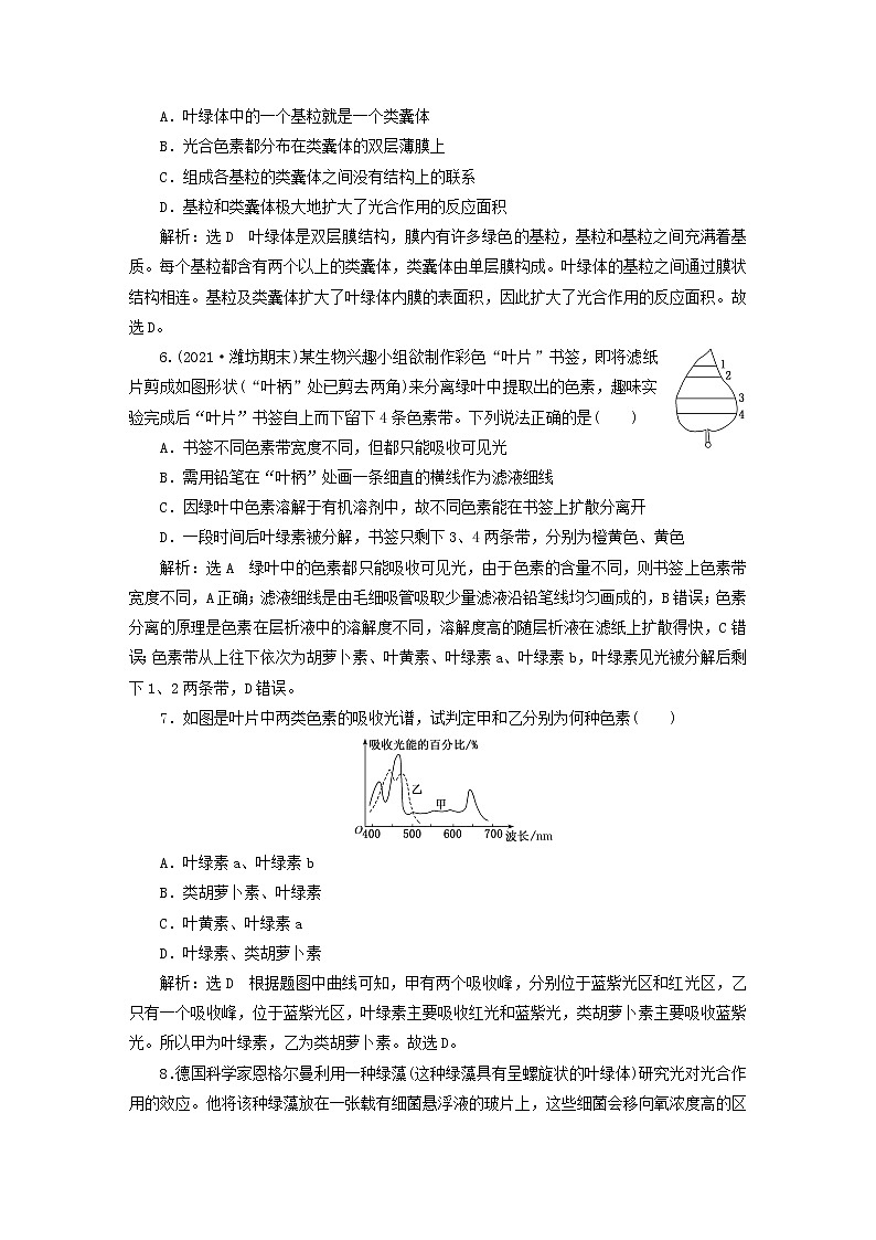 2022新教材高中生物课时跟踪检测二十一捕获光能的色素和结构新人教版必修102