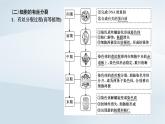 2022新教材高中生物综合素养提升第6章细胞的生命历程课件新人教版必修1