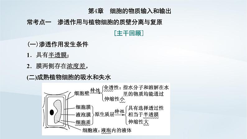 2022新教材高中生物综合素养提升第4章细胞的物质输入和输出课件新人教版必修101