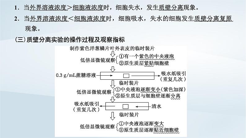 2022新教材高中生物综合素养提升第4章细胞的物质输入和输出课件新人教版必修102