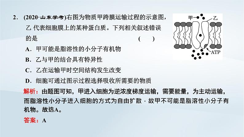 2022新教材高中生物综合素养提升第4章细胞的物质输入和输出课件新人教版必修105