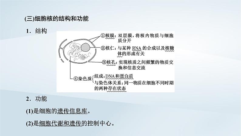 2022新教材高中生物综合素养提升第3章细胞的基本结构课件新人教版必修103