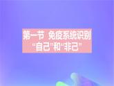 2022_2023学年高中生物第四章免疫调节课时1课件浙科版选择性必修1
