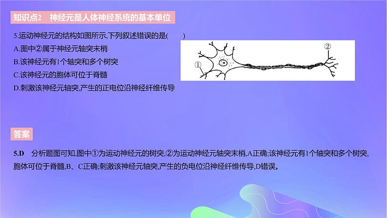 2022_2023学年高中生物第二章神经调节课时1课件浙科版选择性必修108