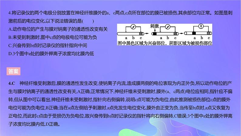 2022_2023学年高中生物第二章神经调节课时2课件浙科版选择性必修1第6页