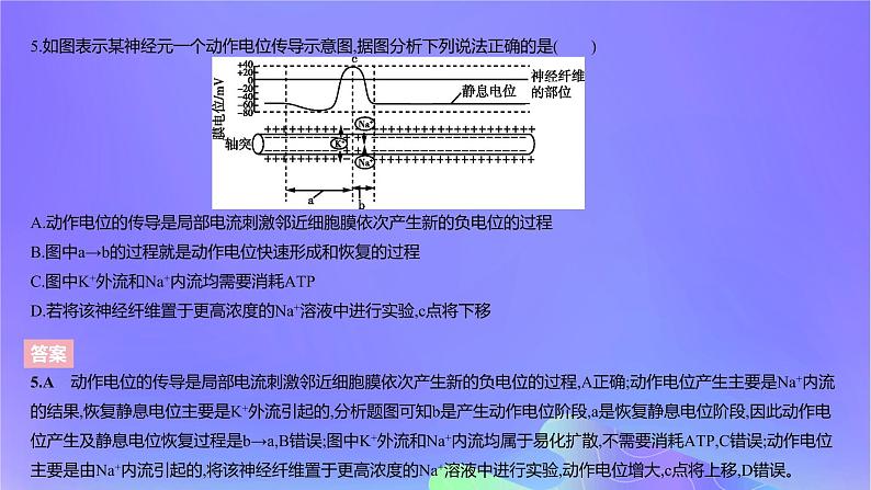 2022_2023学年高中生物第二章神经调节课时2课件浙科版选择性必修1第7页