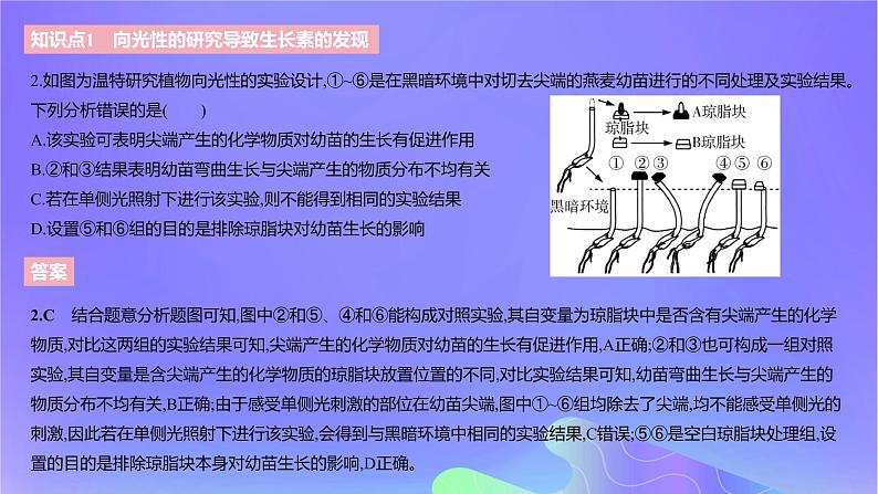 2022_2023学年高中生物第五章植物生命活动的调节课时1课件浙科版选择性必修105