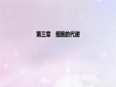 2022_2023學(xué)年新教材高中生物第三章細(xì)胞的代謝課時(shí)1課件浙科版必修1