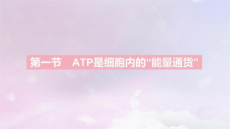 2022_2023学年新教材高中生物第三章细胞的代谢课时1课件浙科版必修1第2页