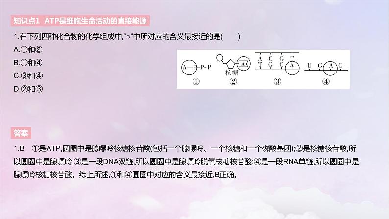 2022_2023学年新教材高中生物第三章细胞的代谢课时1课件浙科版必修1第4页