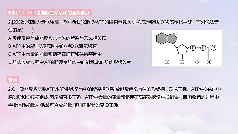 2022_2023学年新教材高中生物第三章细胞的代谢课时1课件浙科版必修1第5页