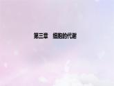 2022_2023学年新教材高中生物第三章细胞的代谢课时2课件浙科版必修1