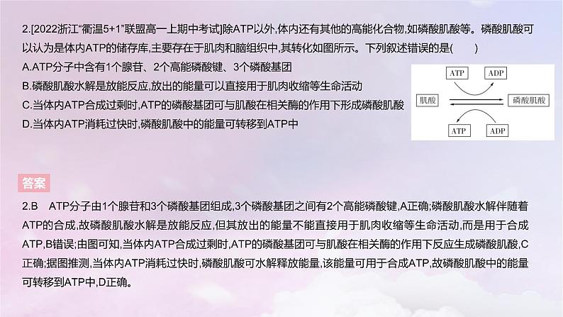 2022_2023学年新教材高中生物第三章细胞的代谢课时2课件浙科版必修1第4页