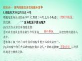 2022_2023学年新教材高中生物第1章人体的内环境与稳态第1节细胞生活的环境课件新人教版选择性必修1