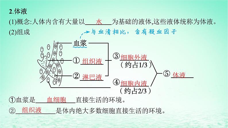 2022_2023学年新教材高中生物第1章人体的内环境与稳态第1节细胞生活的环境课件新人教版选择性必修106