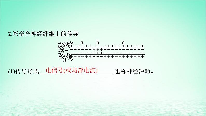 2022_2023学年新教材高中生物第2章神经调节第3节神经冲动的产生和传导课件新人教版选择性必修107